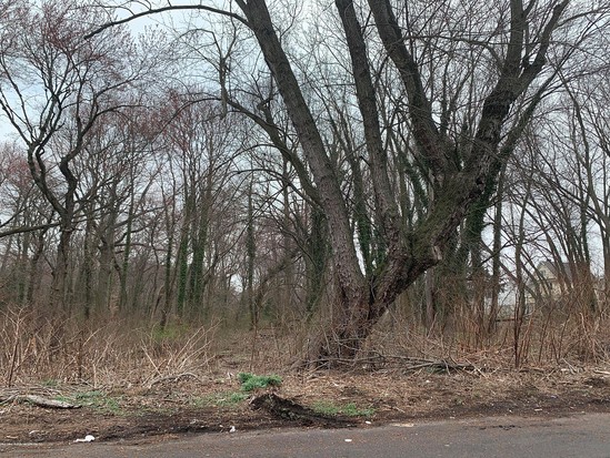 Land for Sale Lighthouse Hill, Staten Island