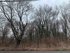 Home for Sale Lighthouse Hill, Staten Island