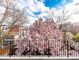 Home for Sale Boerum Hill, Brooklyn