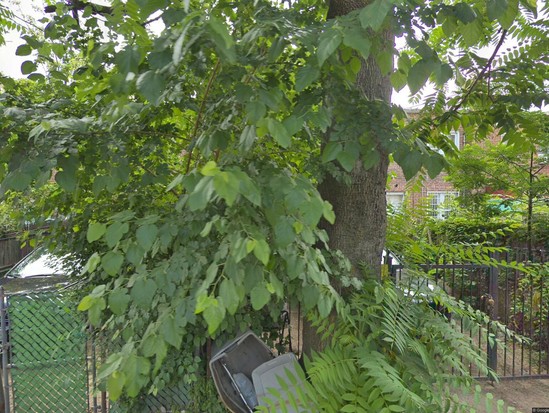 Single-family for Pre-foreclosure Wingate, Brooklyn