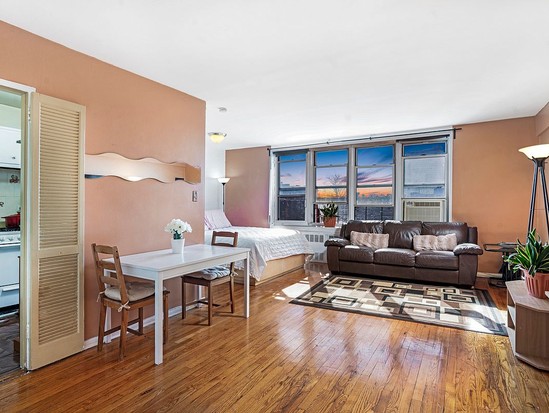 Condo for Sale Prospect Lefferts Gardens, Brooklyn