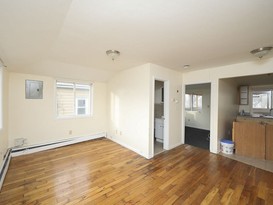 Home for Sale Springfield Gardens, Queens