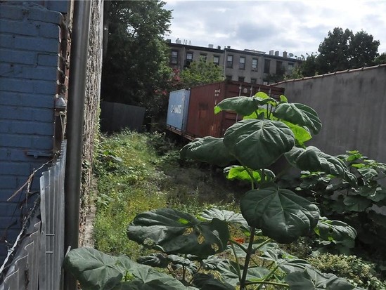 Land for Sale Bedford Stuyvesant, Brooklyn