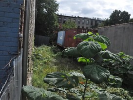 Home for Sale Bedford Stuyvesant, Brooklyn