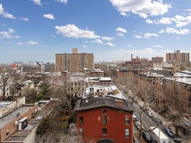 Home for Sale Clinton Hill, Brooklyn