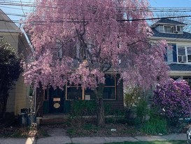 Home for Sale Silver Lake, Staten Island