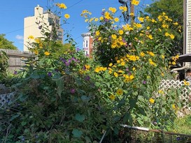 Home for Sale Park Slope, Brooklyn