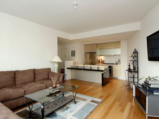 Condo for Sale Long Island City, Queens