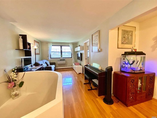 Condo for Sale Little Neck, Queens