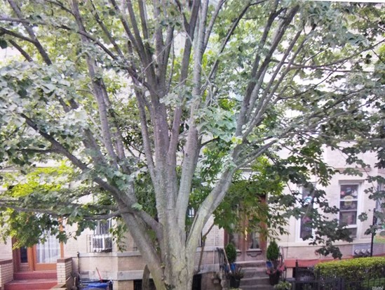 Multi-family for Sale Prospect Lefferts Gardens, Brooklyn