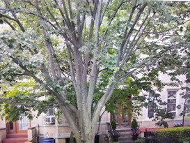 Home for Sale Prospect Lefferts Gardens, Brooklyn