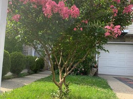 Home for Sale Rosebank, Staten Island