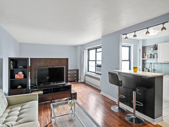 Condo for Sale Lower East Side, Manhattan