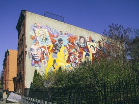 Home for Sale Bedford Stuyvesant, Brooklyn