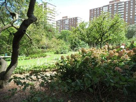 Home for Sale Morningside Heights, Manhattan