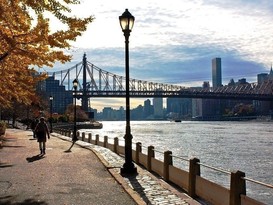 Home for Sale Roosevelt Island, Manhattan