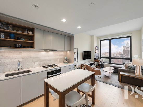 Condo for Sale Prospect Heights, Brooklyn