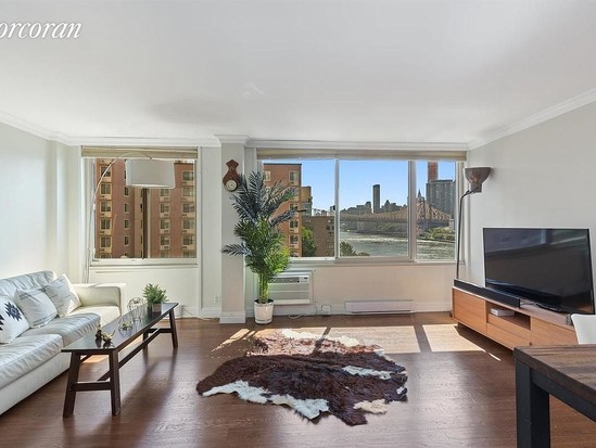 Condo for Sale Roosevelt Island, Manhattan