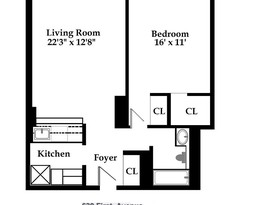 Home for Sale Murray Hill, Manhattan