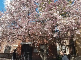 Home for Sale Forest Hills, Queens