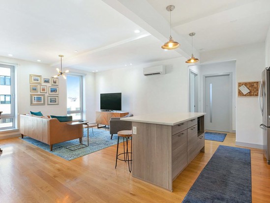 Condo for Sale Crown Heights, Brooklyn